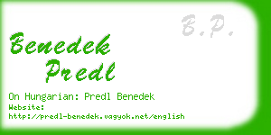 benedek predl business card